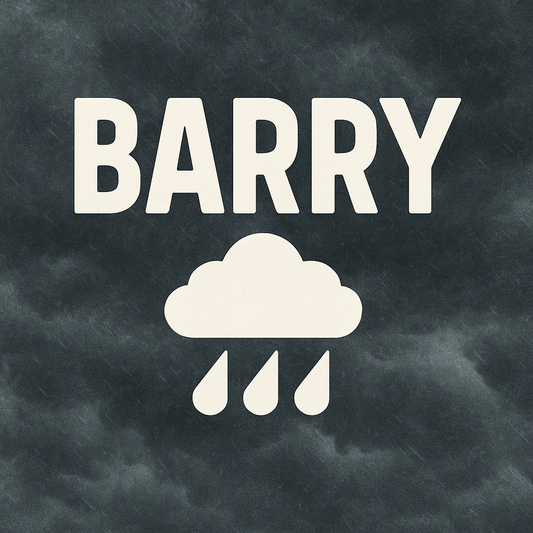 🌪️ Barry: The Hurricane Who Borrows Your Generator and Never Brings It Back