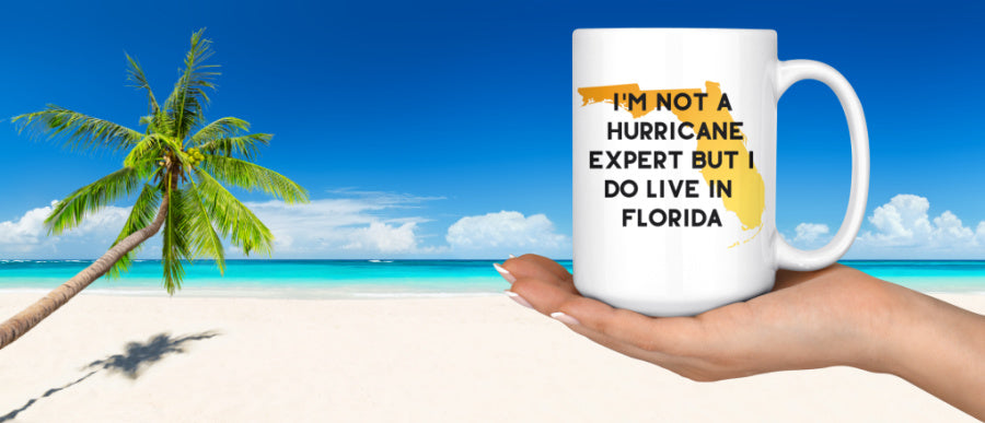 Florida mugs