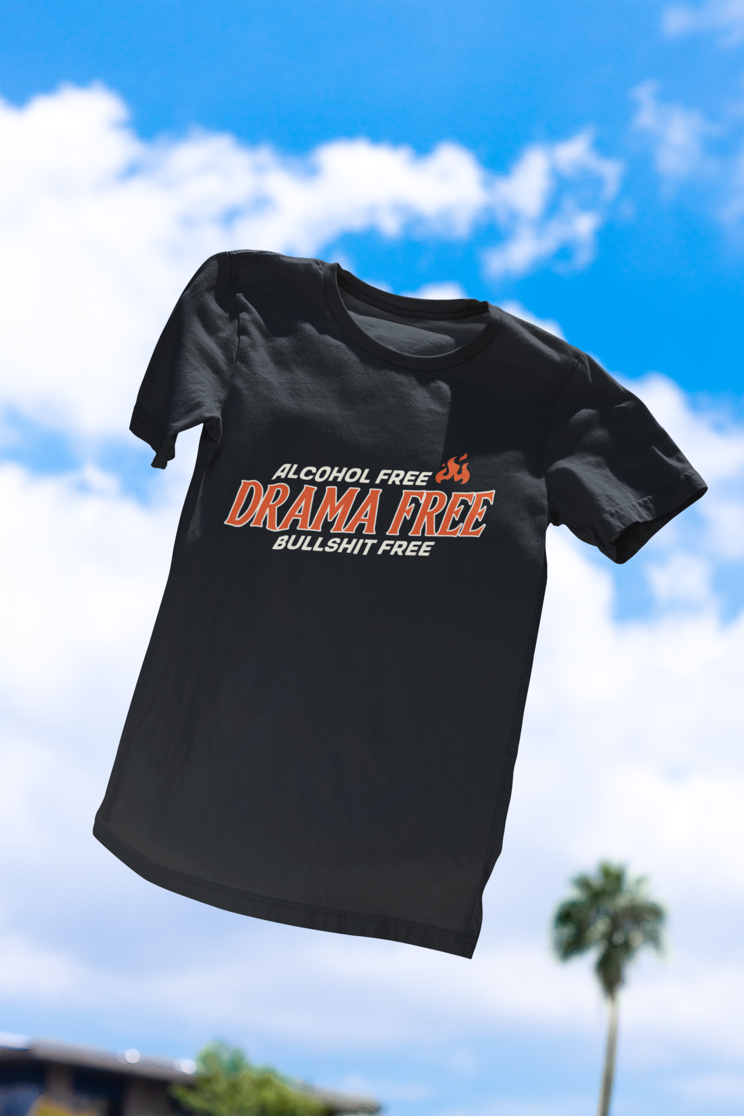 Alcohol Free, Drama Free, Bullsh*t Free Shirt & Mug | Funny Sobriety & No Drama Apparel