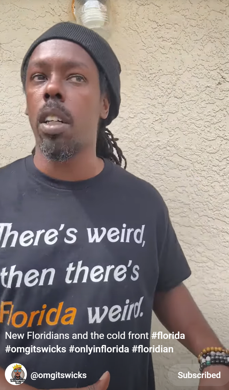 There's weird and then there's Florida Weird Shirt or coffee mug 15 ounces of pleasure
