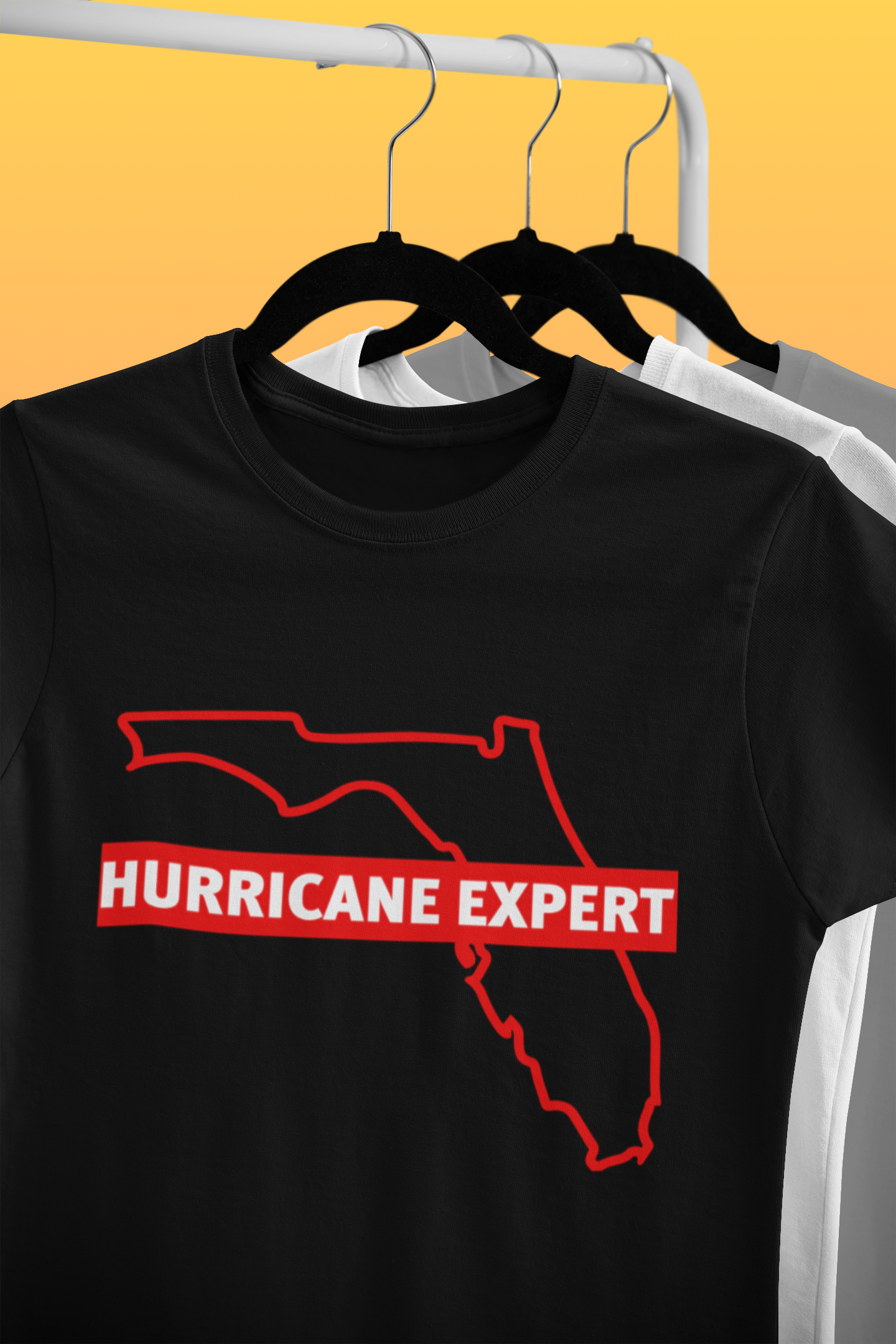 Hurricane Expert T-Shirt – Classic Cotton | Unlawful Threads