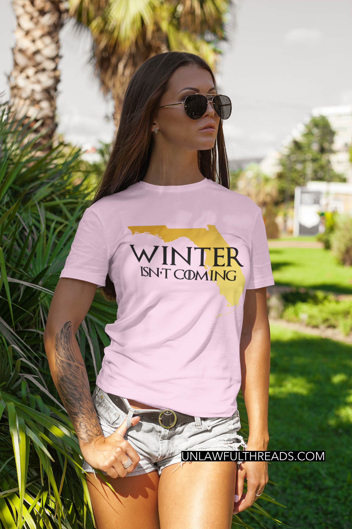 Winter isn't Coming shirts and mugs available