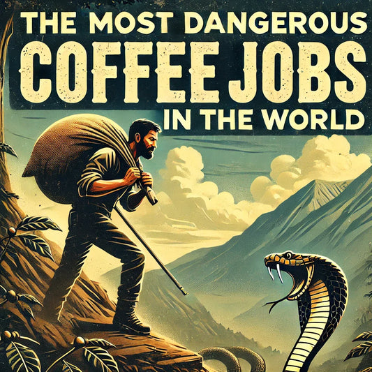 The Most Dangerous Coffee Jobs in the World