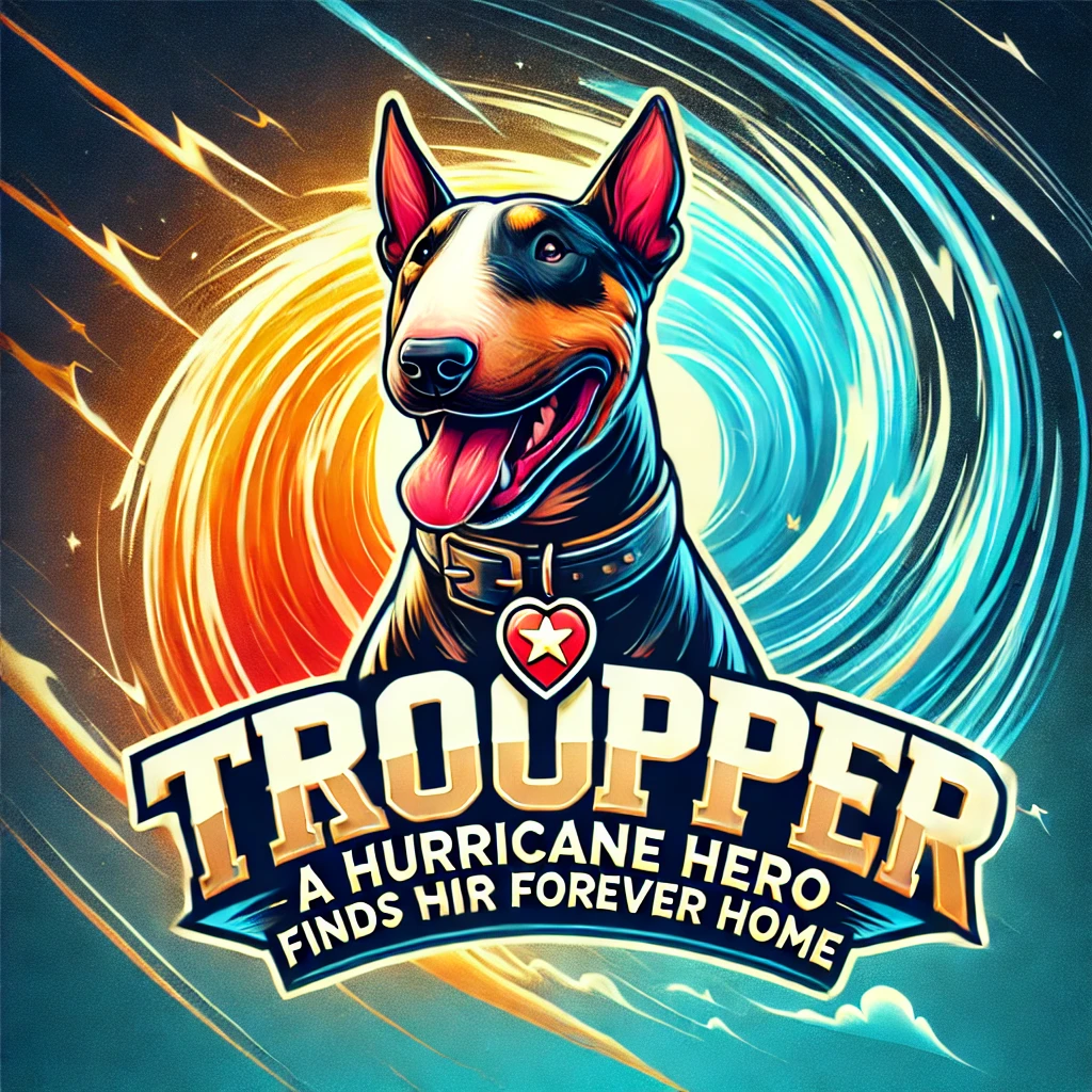 Hurricane Hero Finds His Forever Hom