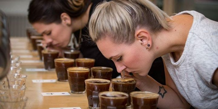 Unlocking the Secrets of Coffee Cupping