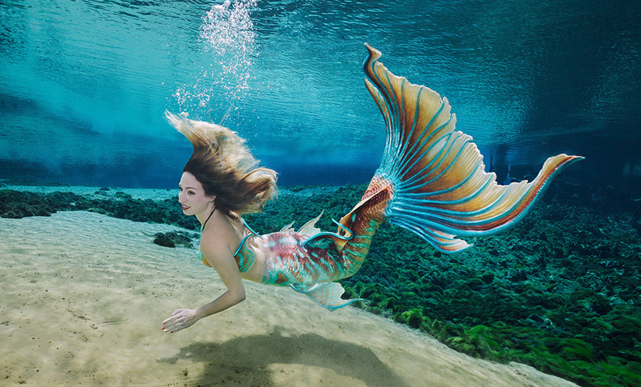 From Myth to Reality: The Enchanting History and Present-Day Wonder of the Weeki Wachee Mermaids