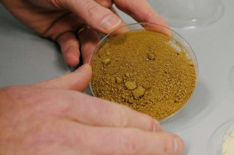 Finnish scientists create 'sustainable' lab-grown coffee or 'FrankenCoffee'