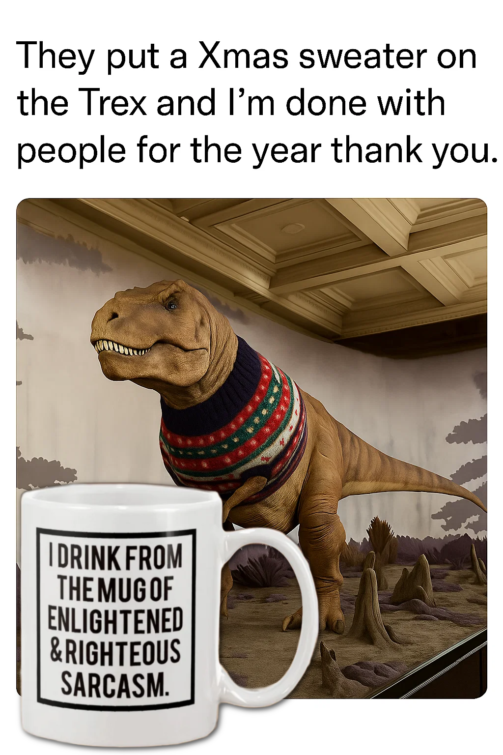 I Drink from the mug of Enlightened and Righteous Sarcasm coffee mug new 15oz Mug