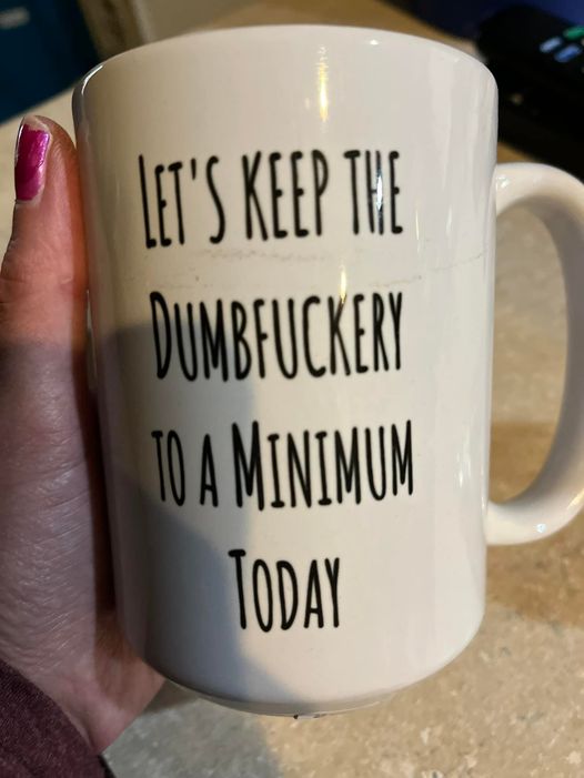 Let's Keep the Dumbfuckery to a Minimum Today coffee mug 15oz Ceramic Mug