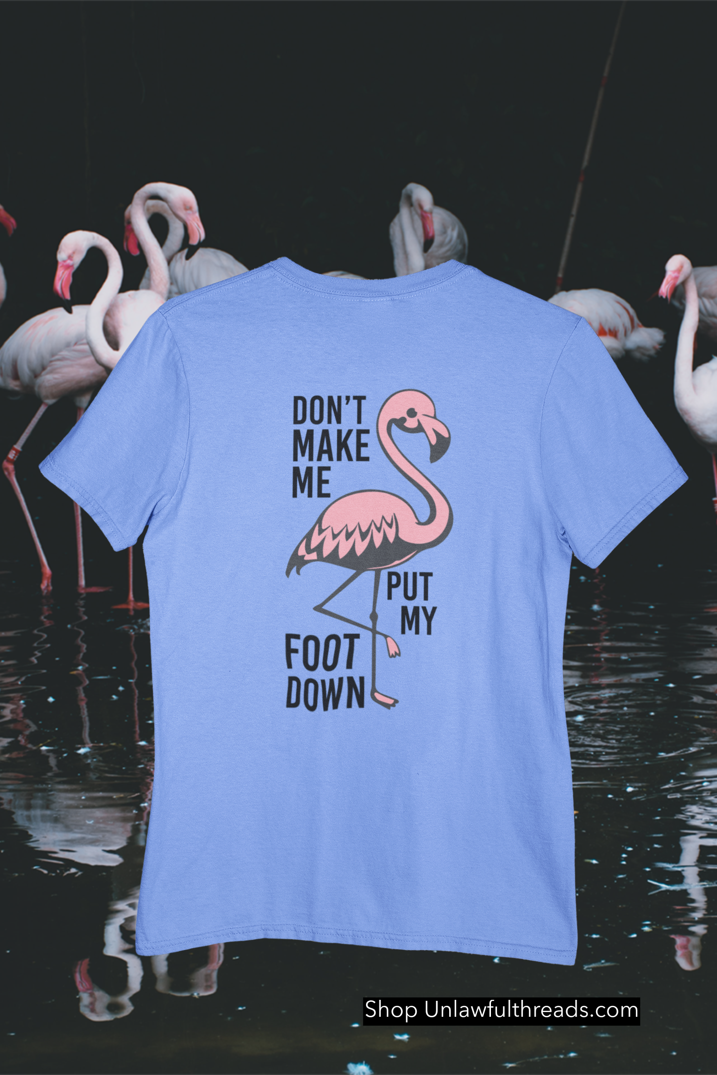 Don't make me put my foot down  totes, shirts and mugs